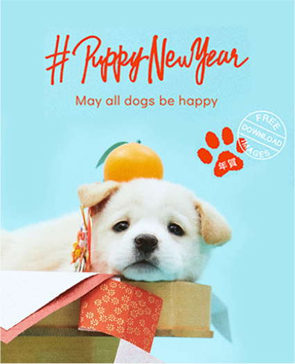 PUPPY NEW YEAR Campaign Website